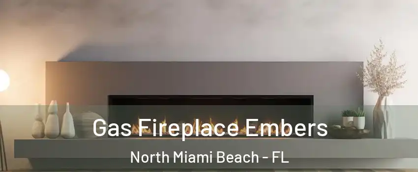  Gas Fireplace Embers North Miami Beach - FL